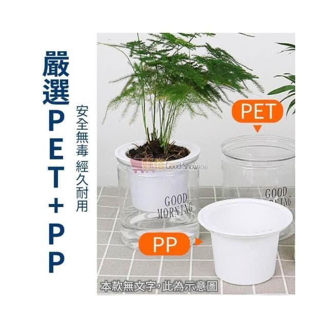 花盆 吸水花盆 簡約花盆 懶人花盆 自動吸水盆栽 吸水花盆 透明花盆 水培花盆 盆栽 塑膠盆 室內植物花盆