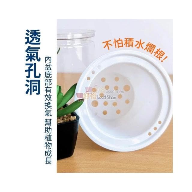 花盆 吸水花盆 簡約花盆 懶人花盆 自動吸水盆栽 吸水花盆 透明花盆 水培花盆 盆栽 塑膠盆 室內植物花盆