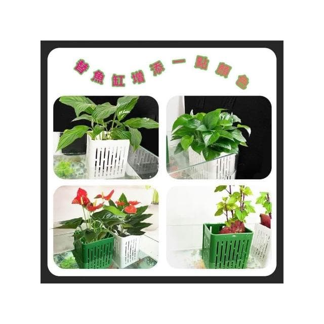 水培定植籃 定植杯 水草籃 固定籃 水培盆 水培籃 水耕盆栽 水耕植物盆 魚菜共生 無土栽培 水耕栽培盆 培育魚苗 掛盆