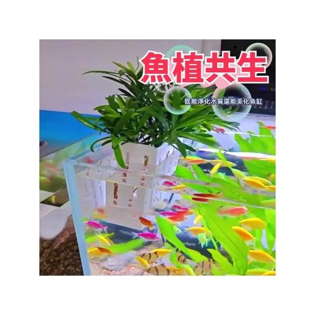水培定植籃 定植杯 水草籃 固定籃 水培盆 水培籃 水耕盆栽 水耕植物盆 魚菜共生 無土栽培 水耕栽培盆 培育魚苗 掛盆