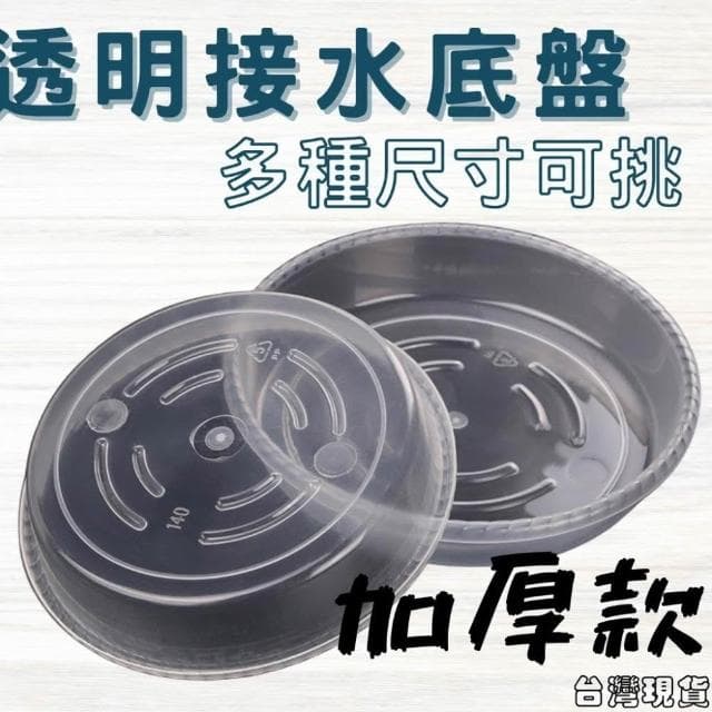 沐晨植物園｜水盤 底盤 花盆托盤 透明托盤 透明接水盤 盆栽底盤 塑膠托盤 接水盤 花盆底盤 尺寸齊全