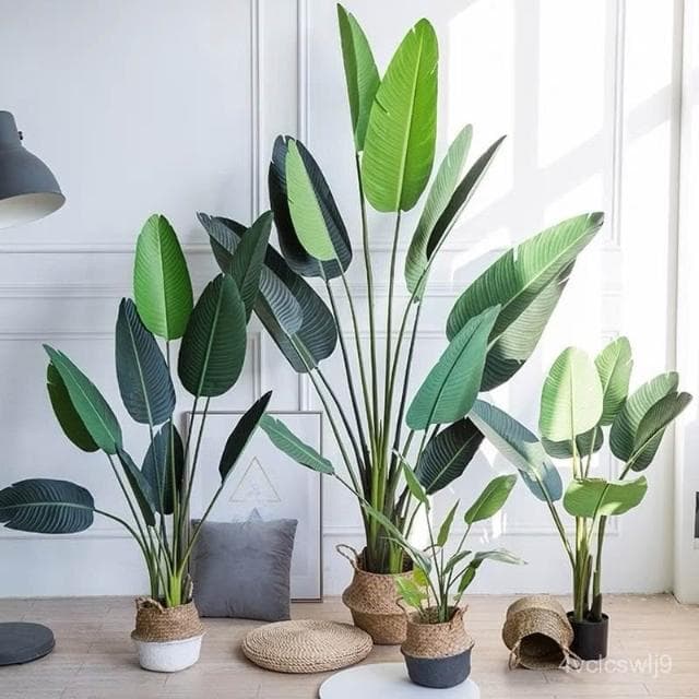 室內擺件 仿真植物 仿真龜背 龜背葉 假花 仿真盆栽 大型北歐仿真植物天堂鳥仿真花旅人蕉客廳假盆栽綠植網紅擺件樹

