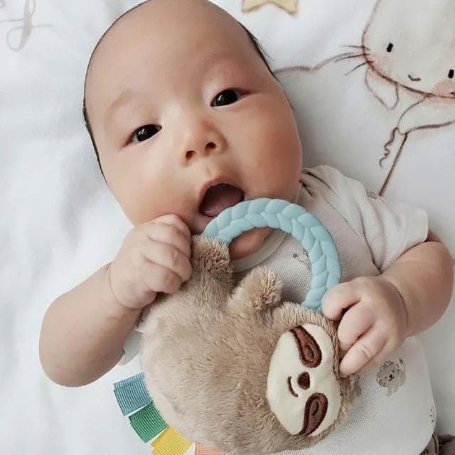 【Itzy Ritzy】Itzy Ritzy 玩偶遊戲環 多款可選(安撫玩具 固齒器 彌月禮)