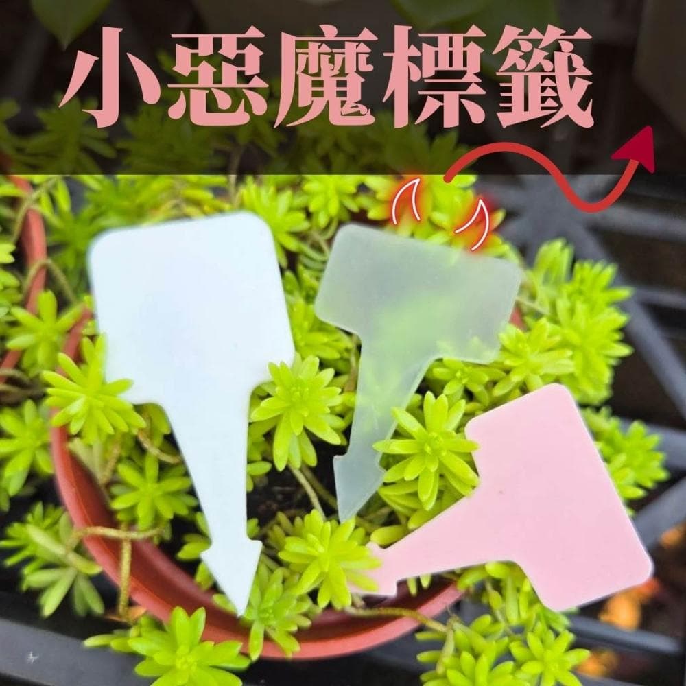 【欣榮園藝資材行】小惡魔標籤 箭頭造型標籤 箭頭花牌 PP材質標籤 花牌 植物標籤 名牌 標示 園藝 花盆 盆栽