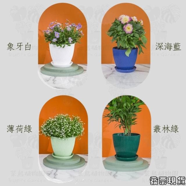 沐晨植物園｜花盆 塑膠花盆 白色花盆 盆栽 塑膠盆 盆栽容器 圓形花盆 北歐花盆花器 盆器 透氣花盆 控根盆