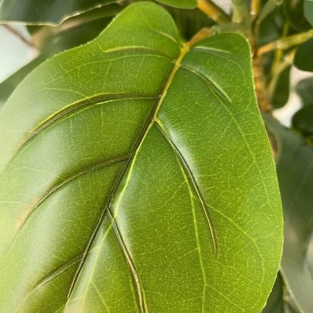 百信百貨 免運 盆栽植物北歐綠植仿真樹盆景室內客廳裝飾擺件落地風琴葉榕大型假