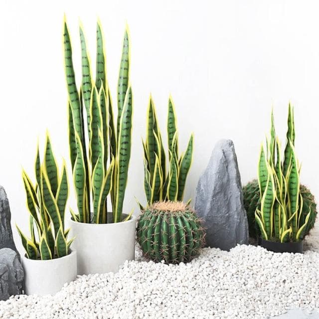 百信百貨 免運 仿真金邊虎皮蘭蝴蝶蘭盆栽假綠植裝飾落地熱帶沙漠仿生植物擺件