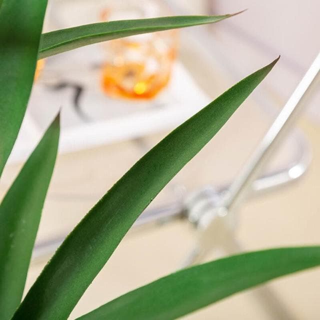 百信百貨 免運 熱銷款仿真綠植劍麻樹 龍舌蘭假樹盆栽客廳擺件假劍蘭植物