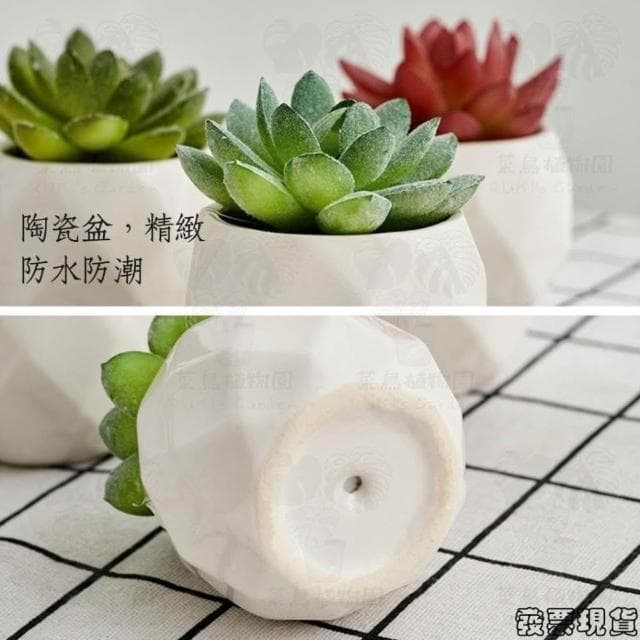 沐晨植物園｜仿真植物 仿真多肉 盆栽裝飾 小盆栽假植物 假盆栽 辦公室盆栽 迷你盆栽 仿真盆栽 仿真植物盆栽 居家裝飾