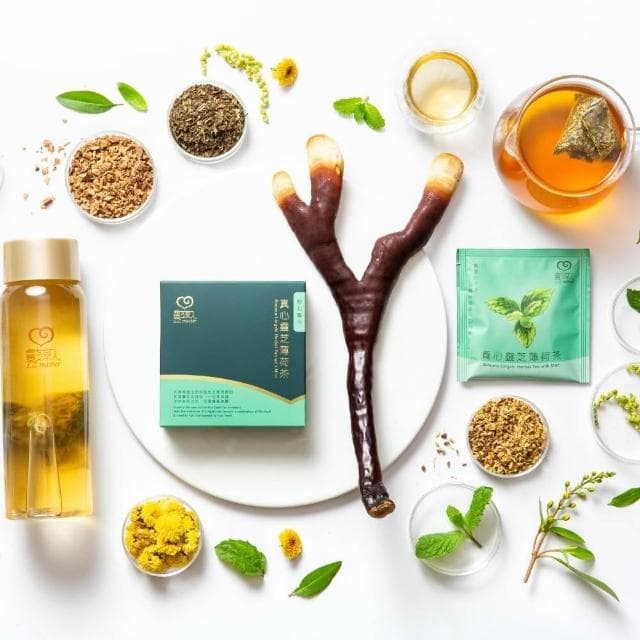 靈芝草人 真心靈芝茶禮盒 鹿角靈芝花草茶禮盒 中秋節/老婆禮物/長輩送禮推薦/生日祝壽禮盒