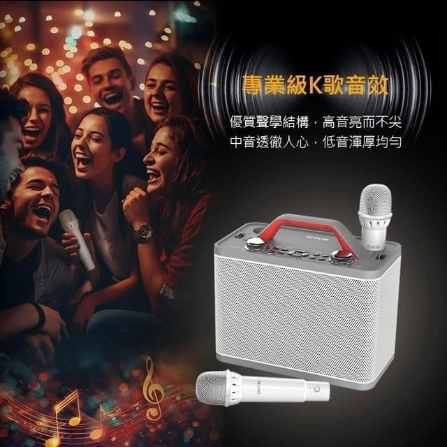 【DIKE】家庭KTV卡拉OK 藍芽音響 DIKE行動手提式 DSO580 K歌音箱 露營 氣氛 無線麥克風 雙麥連機款 藍芽麥克風