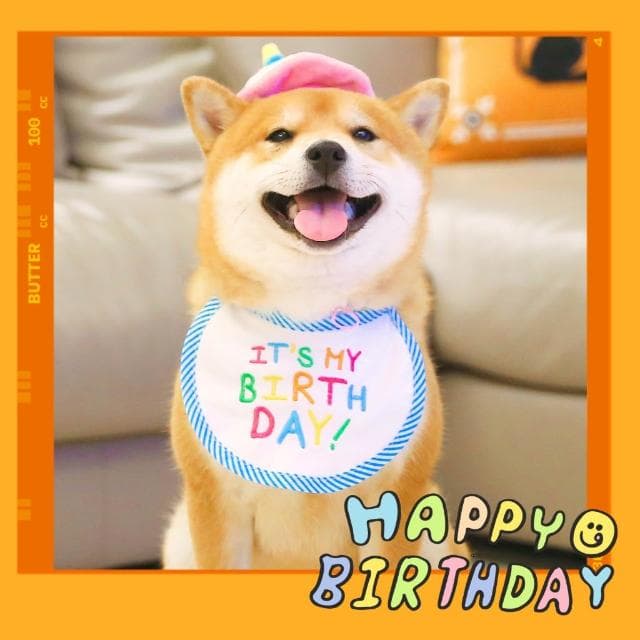 【汪喵森活】 生日口水巾 生日帽 派對帽 寵物圍兜 生日快樂 生日派對 生日配件 生日圍兜 寵物口水巾