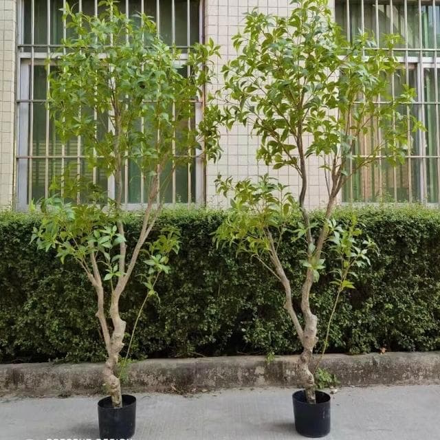 【未晚家居館】 西西裏仿真植物吊鐘馬醉木假樹盆栽 北歐INS家居室內落地擺件裝飾