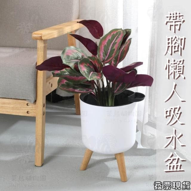 沐晨植物園｜懶人花盆 懶人盆栽 吸水花盆 自吸水花盆  免澆水花盆 自吸水花盆