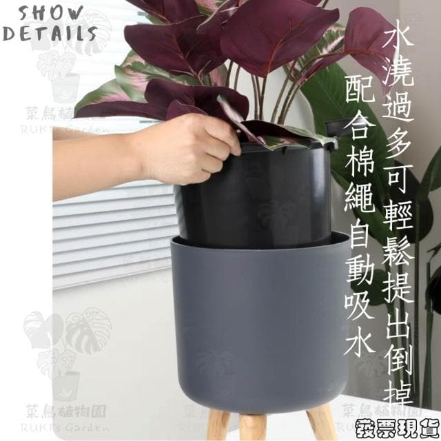 沐晨植物園｜懶人花盆 懶人盆栽 吸水花盆 自吸水花盆  免澆水花盆 自吸水花盆