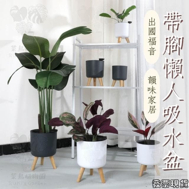 沐晨植物園｜懶人花盆 懶人盆栽 吸水花盆 自吸水花盆  免澆水花盆 自吸水花盆