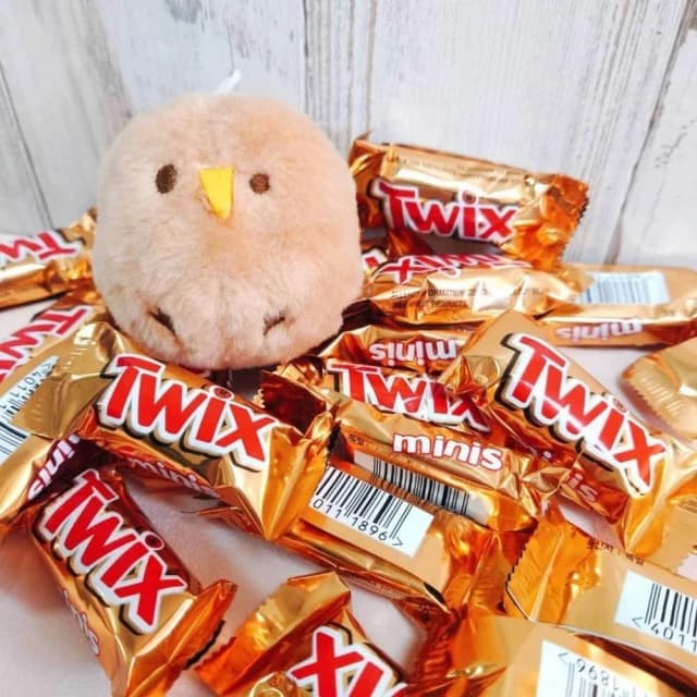 【Twix 特趣】迷你焦糖夾心巧克力 1180公克 (分享包 獨立包裝)