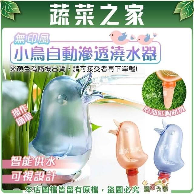 【蔬菜之家】無印風小鳥自動滲透澆水器 隨機出貨 植物澆水器 澆花器 自動澆花器 澆水神器 盆栽澆水器