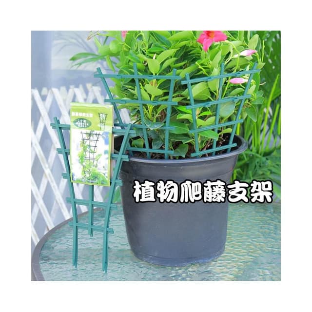 扇形爬藤支架 一組兩片 園藝植物盆栽蝴蝶蘭藤蔓陽台室內固定支架 觀賞植物爬藤網網架