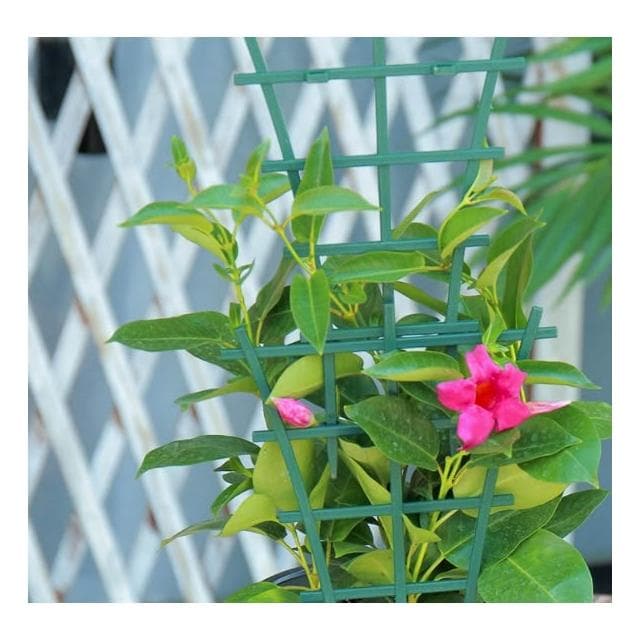 扇形爬藤支架 一組兩片 園藝植物盆栽蝴蝶蘭藤蔓陽台室內固定支架 觀賞植物爬藤網網架