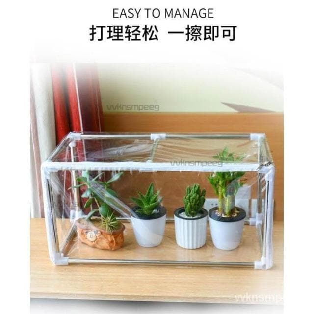 傢用植物保溫棚防雨棚保溫罩溫室花房暖房陽光棚防凍多肉盆栽庭院