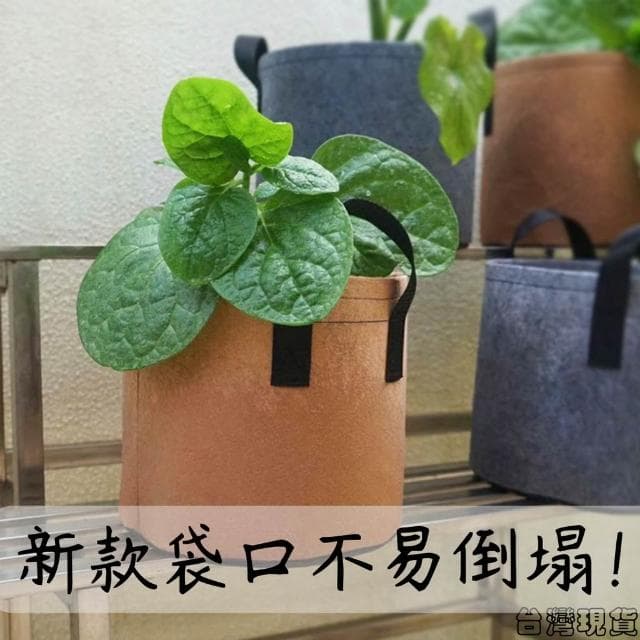 沐晨植物園｜加厚美植袋 種植袋 植物袋 育苗袋 植栽袋 不織布植樹袋 移植袋