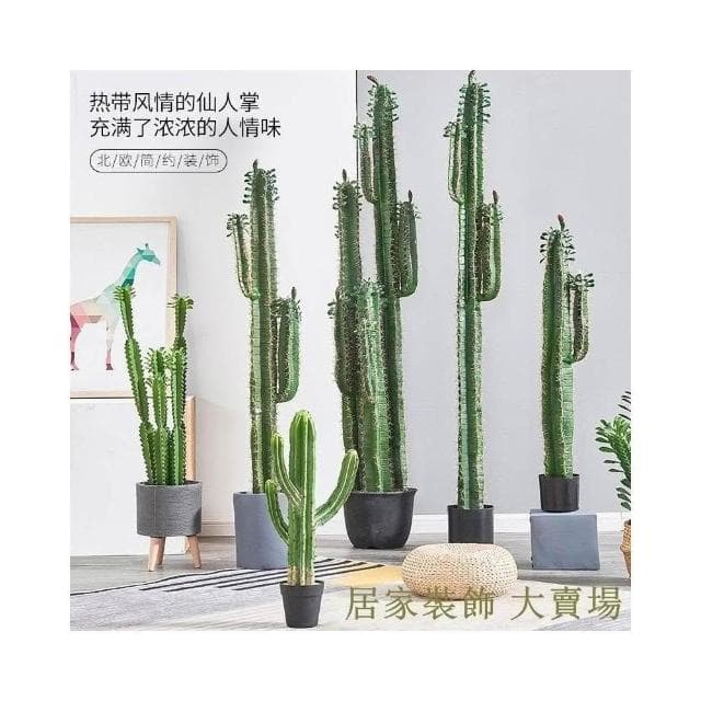 仿真仙人掌擺件 大型 北歐綠植 假植物 ins仙人柱 仙人球道具裝飾盆栽