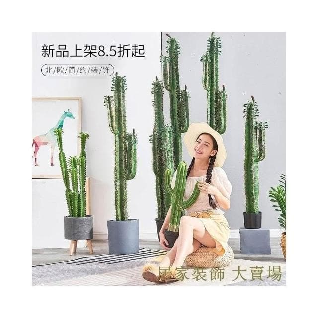 仿真仙人掌擺件 大型 北歐綠植 假植物 ins仙人柱 仙人球道具裝飾盆栽