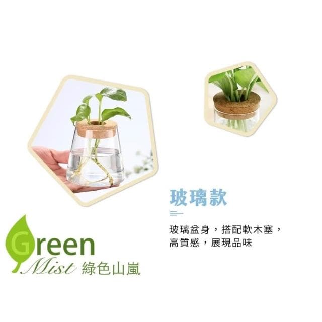 【綠色山嵐】水耕瓶 塑膠花盆 水培瓶 懶人花盆 水養植物瓶 辦公室植物瓶 造型水培花盆 水耕盆栽