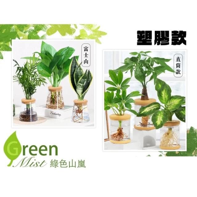 【綠色山嵐】水耕瓶 塑膠花盆 水培瓶 懶人花盆 水養植物瓶 辦公室植物瓶 造型水培花盆 水耕盆栽