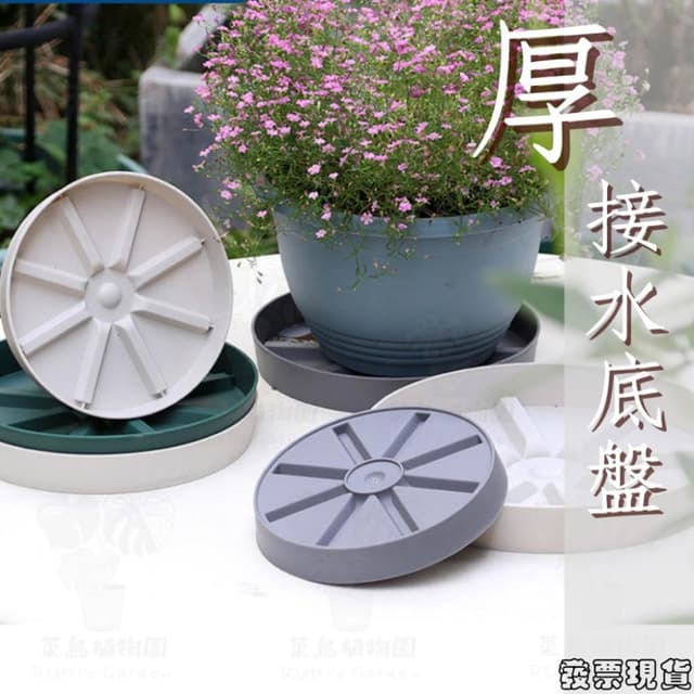 沐晨植物園｜花盆底盤 水盤 塑膠底盆 底盤 花盤托盤 接水盤 盆栽底盤 塑膠托盤 透明水盤 園藝 植物底盤