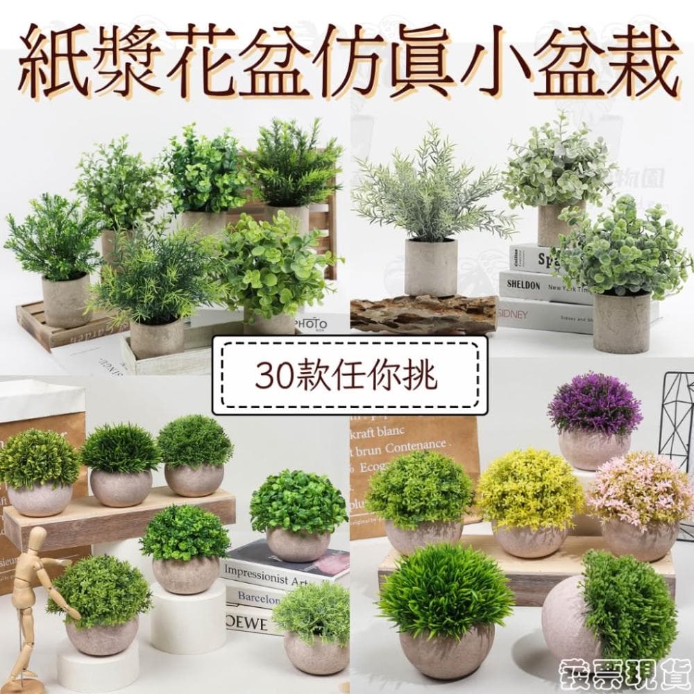 沐晨植物園｜仿真植物 盆栽裝飾 假盆栽 辦公室盆栽 迷你盆栽 仿真盆栽 仿真植物盆栽 居家裝飾 室內盆栽