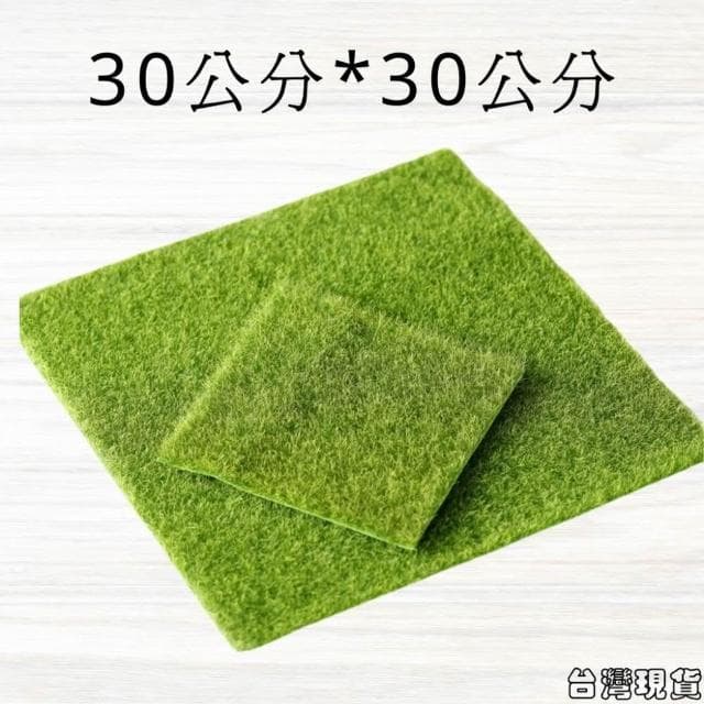 沐晨植物園｜仿草皮 假草皮 裝飾草皮 人造草皮 多肉裝飾 生態瓶配件 盆栽裝飾 微景觀配件 公仔 迷你園藝 微景觀擺件