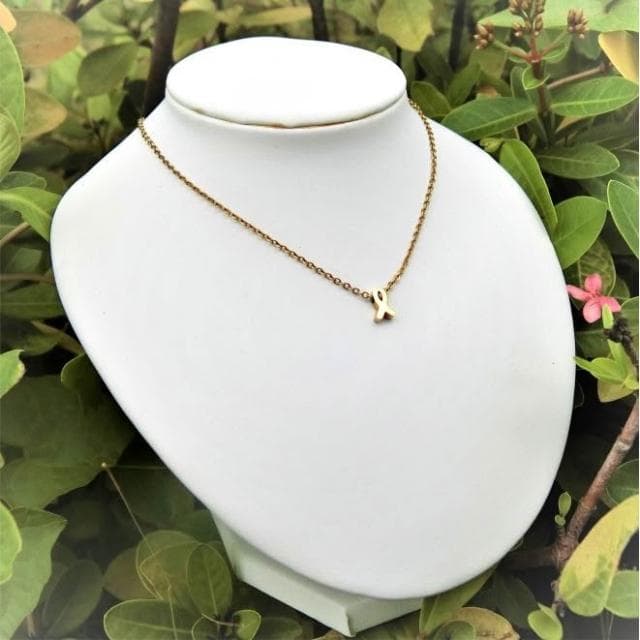 【耶穌魚 醫療鋼項鍊】基督教 福音禮品 受洗禮物 生日 聖誕節 禮物 耶穌 搬家喬遷 聖經故事 恩典之約禮物店