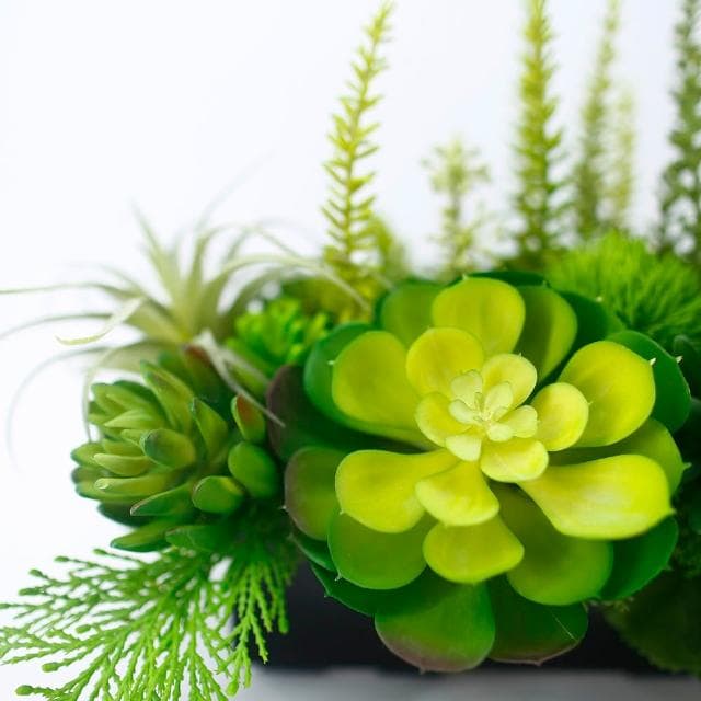 【HUGO DECO 榆果傢飾】多肉植物組合香氛植栽 免運專人配送限雙北市(開幕/擬真花/佈置/新居落成/送禮)