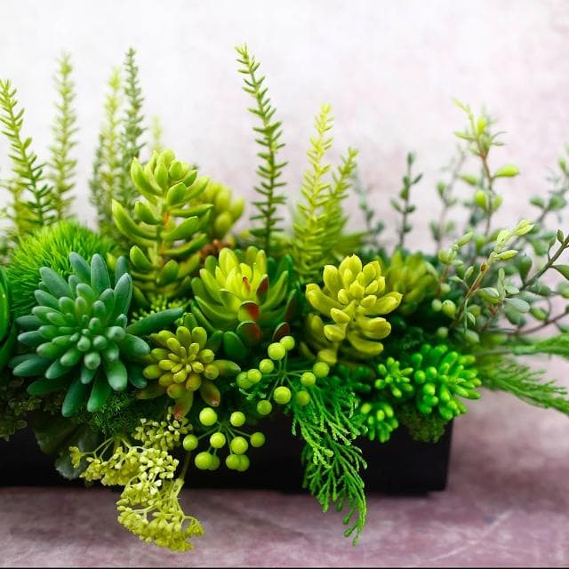 【HUGO DECO 榆果傢飾】多肉植物組合香氛植栽 免運專人配送限雙北市(開幕/擬真花/佈置/新居落成/送禮)