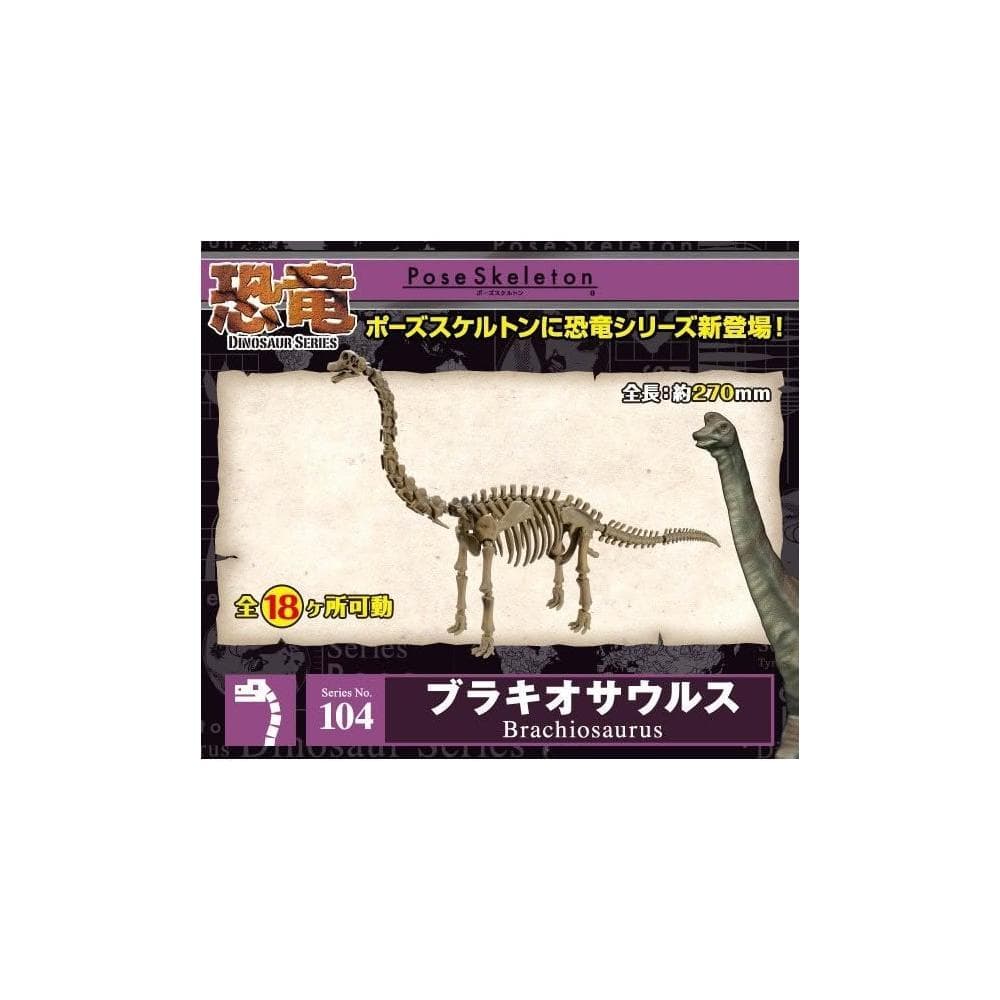 大旺小舖:日本正版Re-Ment食玩骨頭人骨頭恐龍腕龍No.104科學教具搭配黏土人生日結婚母親節情人節聖誕交換禮物