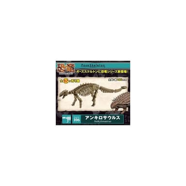 大旺小舖:Re-Ment食玩骨頭人骨頭恐龍甲龍日本正版科學教具可搭配黏土人 生日結婚母親節情人節聖誕交換禮物 實體店面