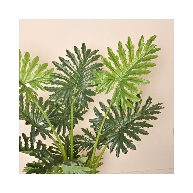 仿真春芋綠植盆栽櫥窗家居大型落地擺件室內裝飾假植物龜背春芋葉