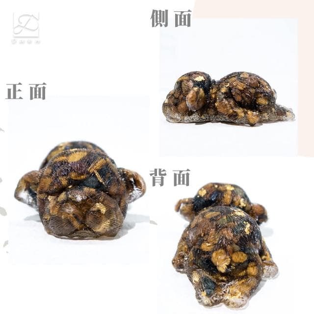 【Dawn Fashion 彤恩時尚】天然水晶 招財 法鬥幼犬 //虎眼石 太陽石 白松石/生日禮物/父親節禮物