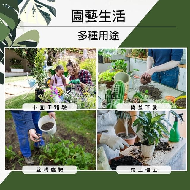 園藝鏟子三件組合(多肉植物  園藝工具 耙子 鏟子 小鏟子 換土 迷你鏟 多肉工具 盆栽 種植 植物 鬆土)