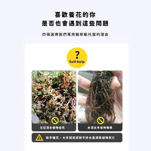 【蕉蕉購物】簡約無印風透明自動吸水花盆懶人盆栽 塑膠盆 植物花盆 水耕植物 擺飾 水盤 辦公室