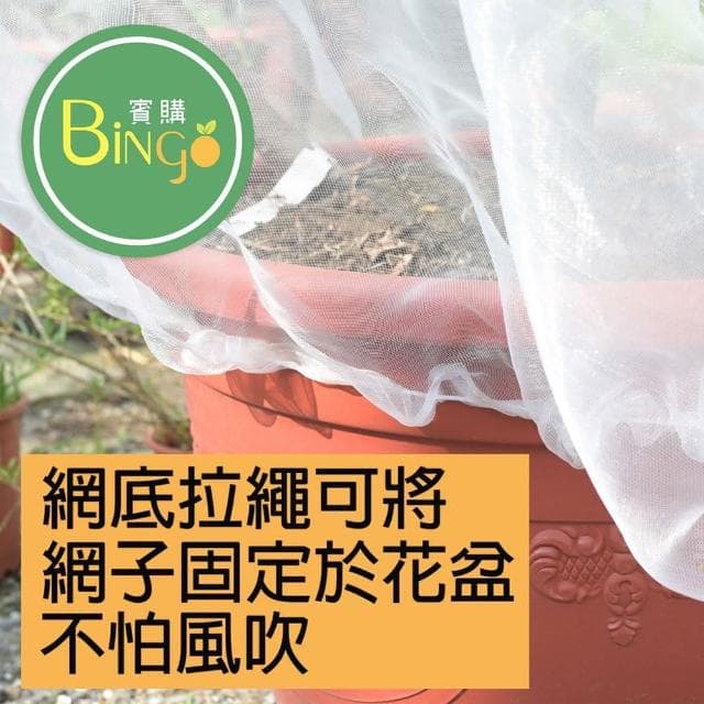 Bingo賓購 尼龍帶拉鍊植物防蟲網罩 180x180公分(防鳥罩、防鳥網、無花果樹網、盆栽果樹網)