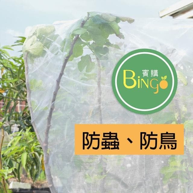 Bingo賓購 尼龍帶拉鍊植物防蟲網罩 180x180公分(防鳥罩、防鳥網、無花果樹網、盆栽果樹網)