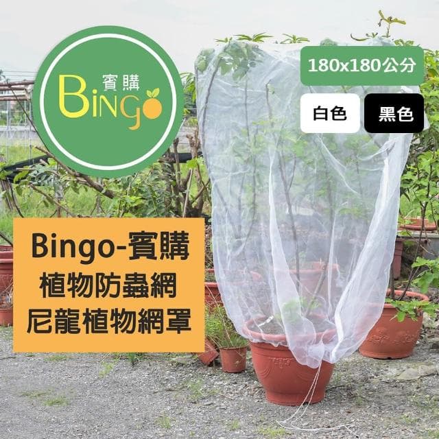 Bingo賓購 尼龍帶拉鍊植物防蟲網罩 180x180公分(防鳥罩、防鳥網、無花果樹網、盆栽果樹網)