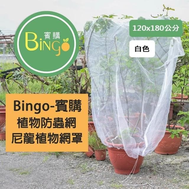 Bingo賓購 尼龍植物防蟲網罩 120x180公分(防鳥罩、防鳥網、無花果樹網、盆栽果樹網)