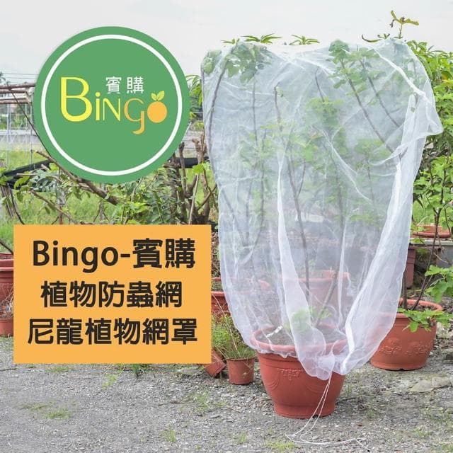 Bingo賓購 尼龍植物防蟲網罩 100x150公分(防鳥罩、防鳥網、無花果樹網、盆栽果樹網)