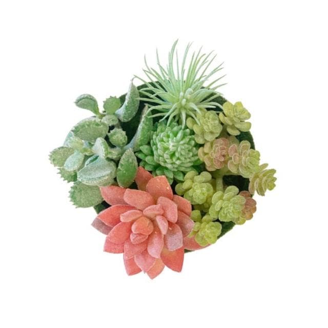 仿真多肉 組盆多肉 人造花 仿真花 組盆 療癒 佈置 療癒植物 多肉盆栽佈置 GXS拍照道具
