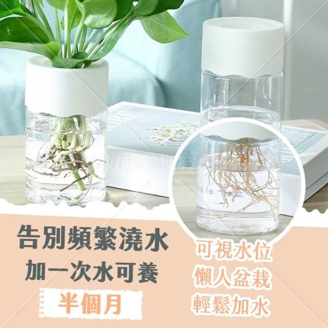 水培花盆 水培盆栽 懶人花盆 水耕盆栽 辦公室植物 水耕瓶 水耕花器 水培瓶 水培植物 水培花器 花水培花盆