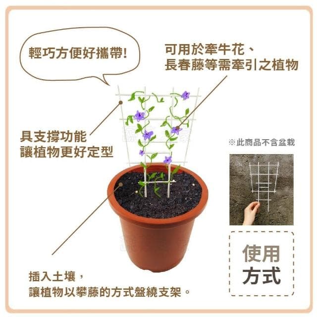【蔬菜之家】4吋藤蔓架.攀藤架 2個組小型植栽適用 攀藤植物用 荷蘭
